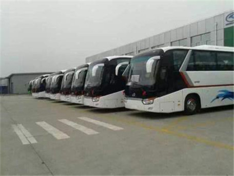 郑州出租中巴车公司提供的车型都有哪些？